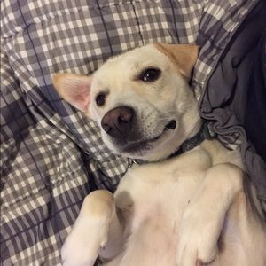 Meet your Posher, Alma